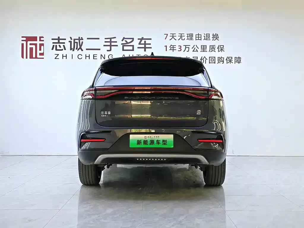 BYD Tang New Energy — фото 5
