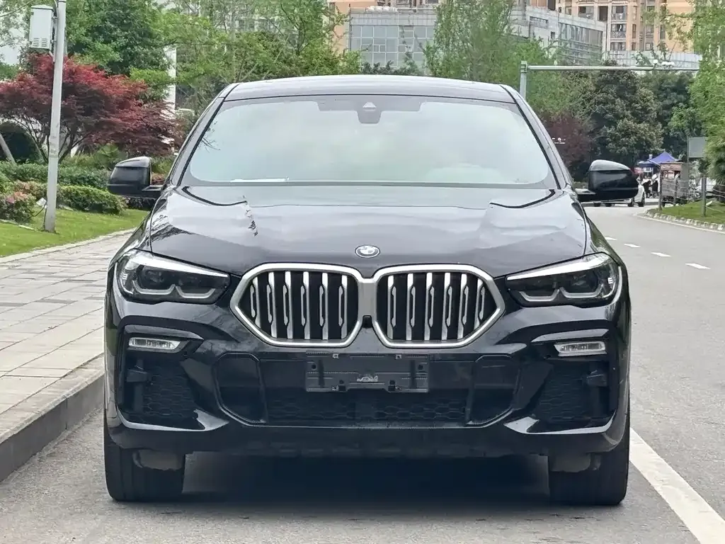 BMW X6 2021 из CN, фото 7
