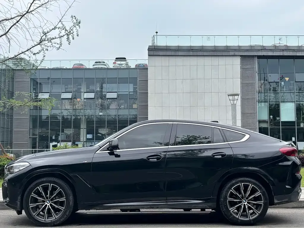 BMW X6 2021 из CN, фото 8