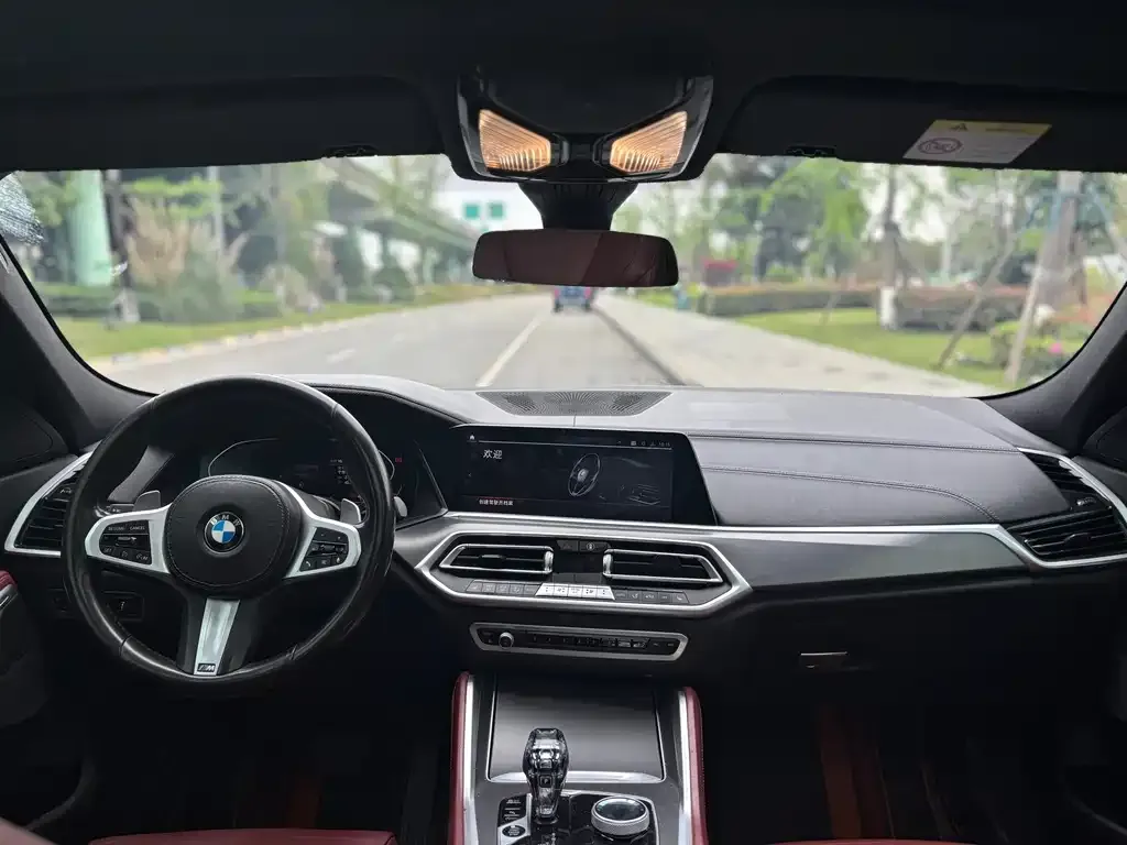 BMW X6 2021 из CN, фото 3