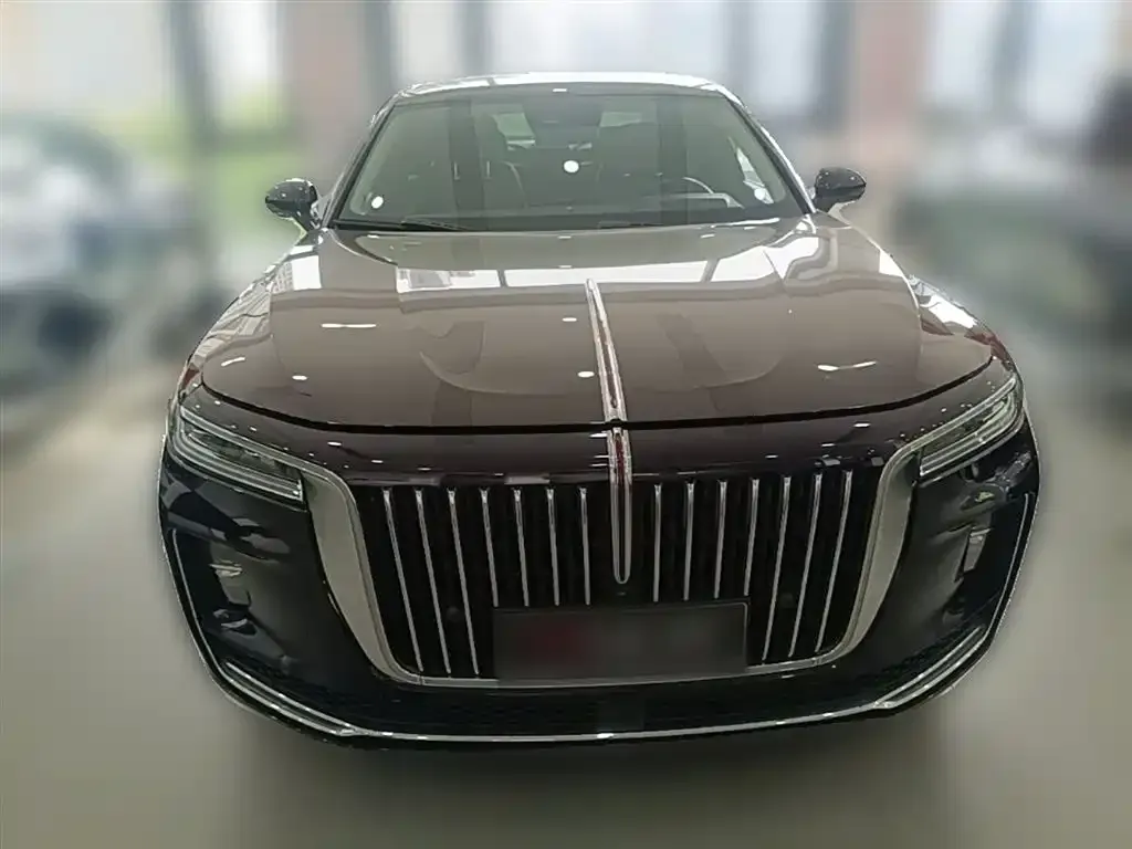 Hongqi H9 — фото 4