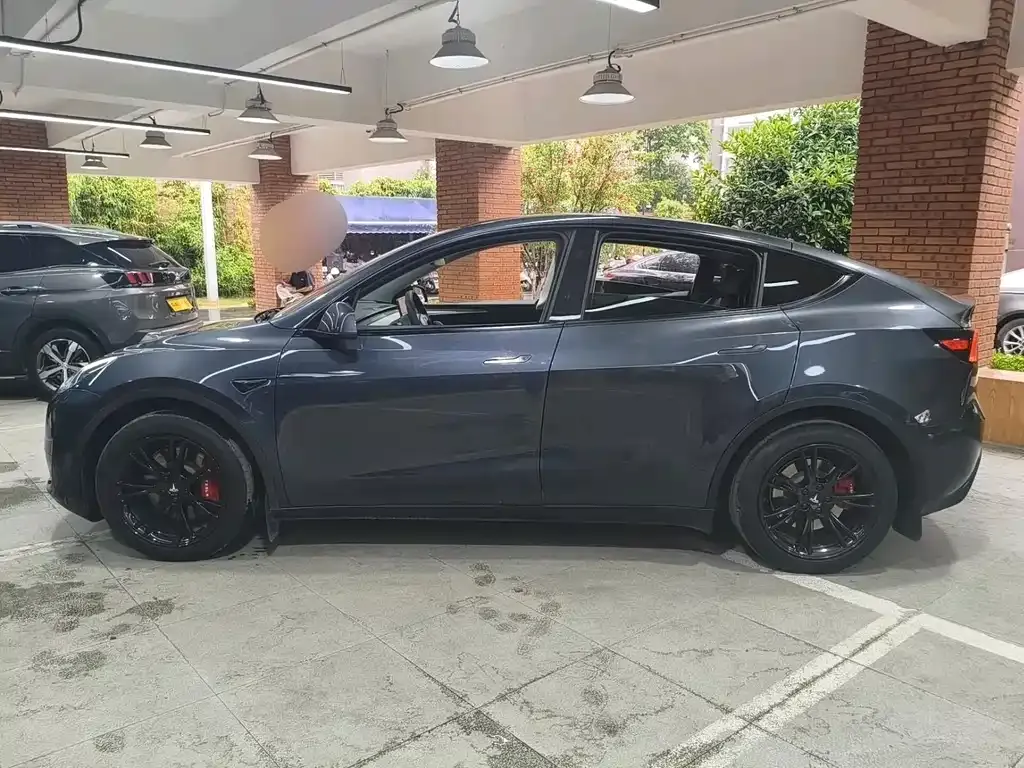 Tesla Model Y — фото 8