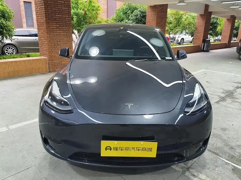 Tesla Model Y — фото 3