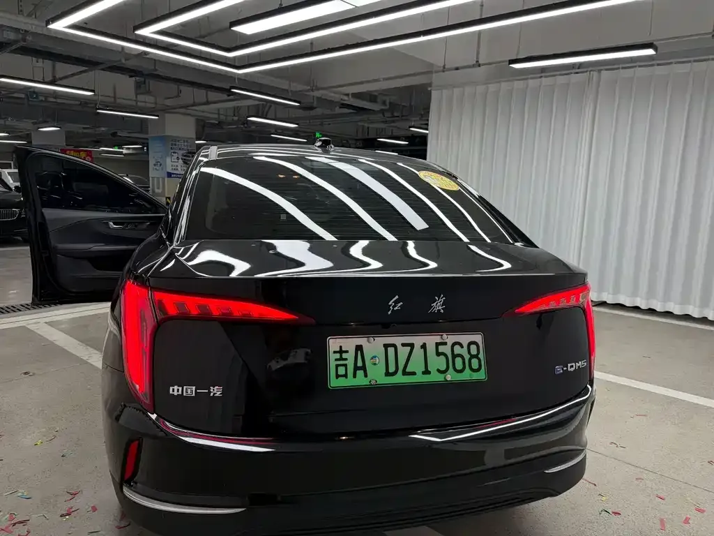 Hongqi E-QM5 — фото 9