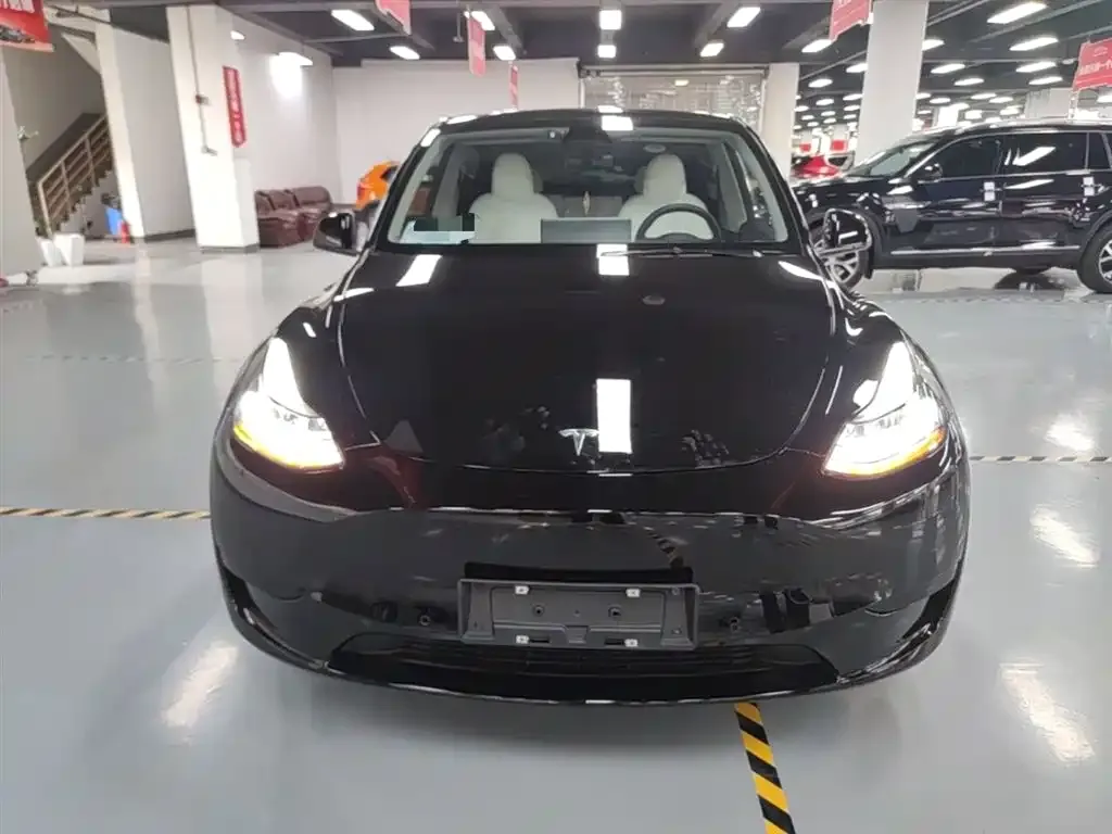 Tesla Model Y — фото 10