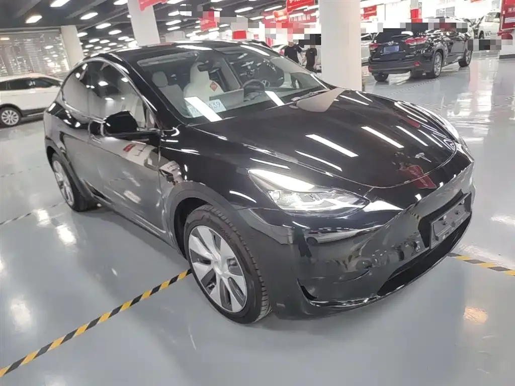 Tesla Model Y — фото 8