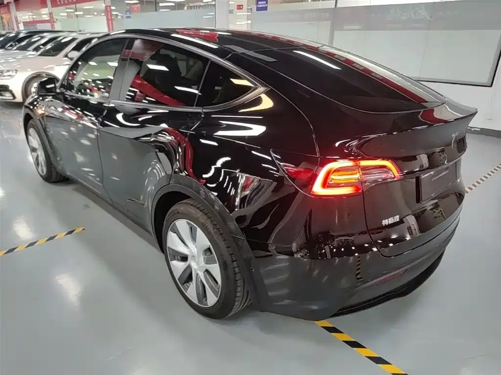 Tesla Model Y — фото 2