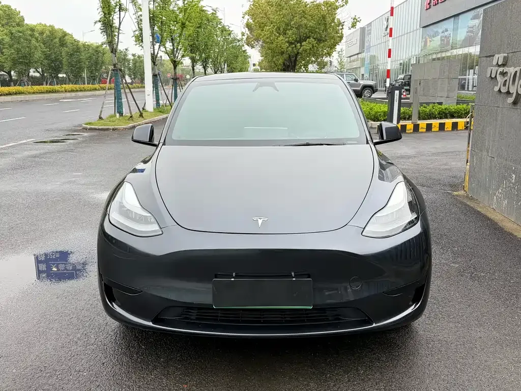 Tesla Model Y — фото 8