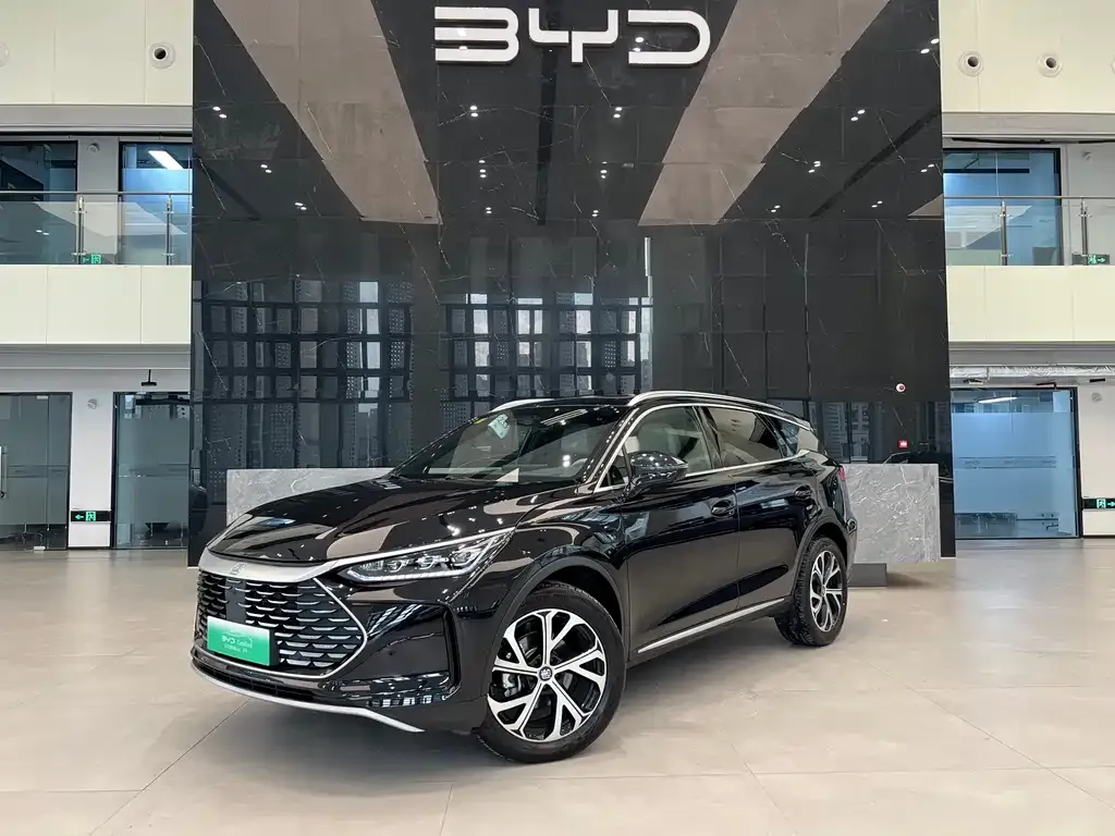 BYD Tang New Energy — фото 1