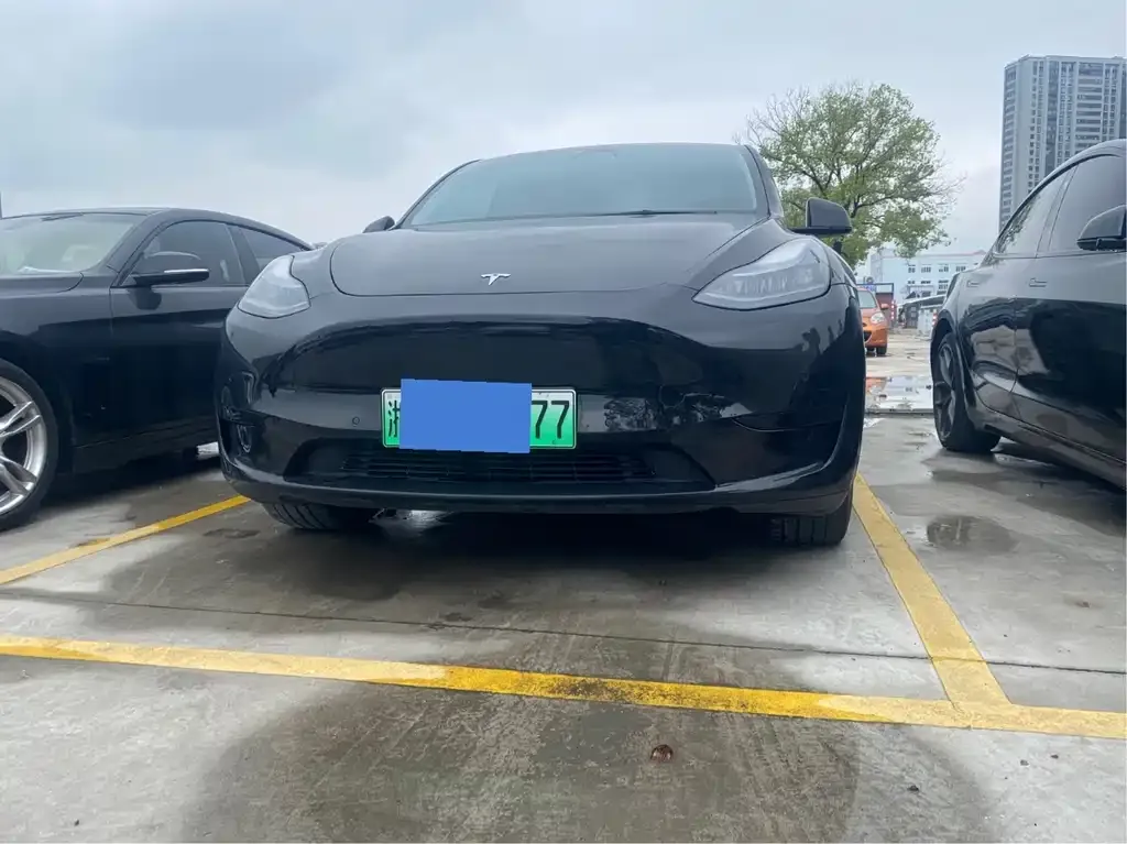 Tesla Model Y 2023 из CN, фото 6