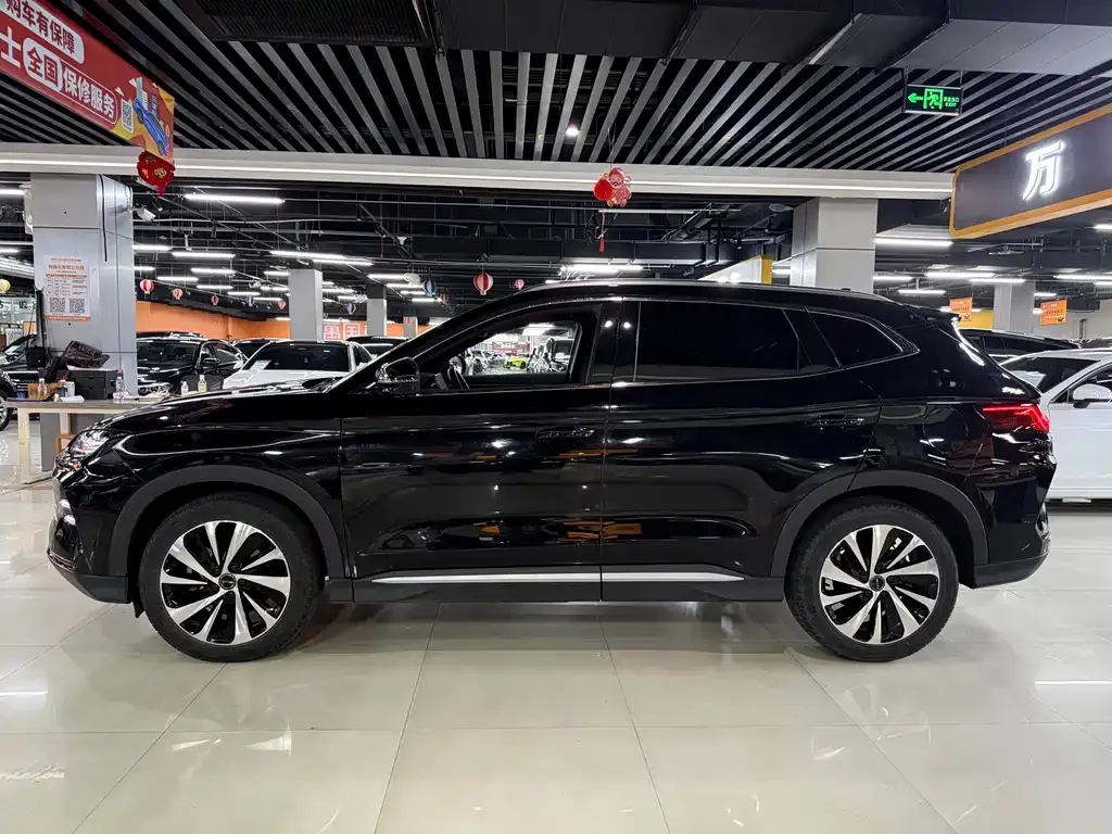 BYD PLUS New Energy — фото 5