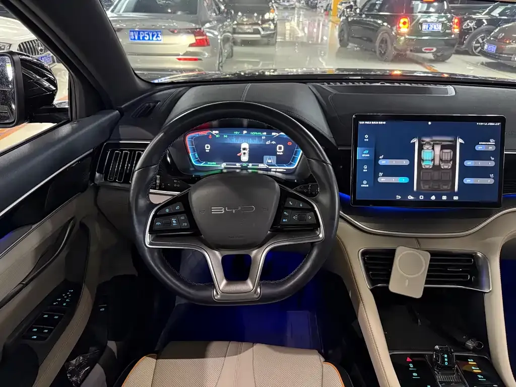 BYD PLUS New Energy — фото 4