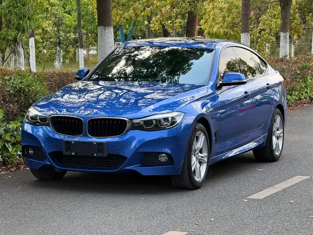 BMW 3 Series GT 2021 из CN, фото 10