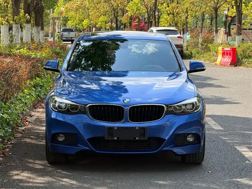 BMW 3 Series GT 2021 из CN, фото 9