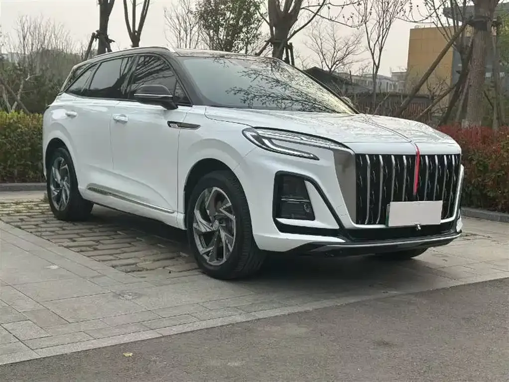 Hongqi HS3 PHEV 2024 из CN, фото 5
