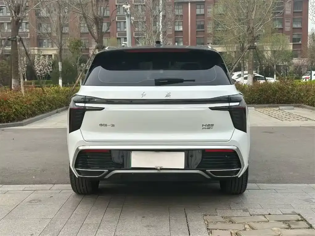 Hongqi HS3 PHEV 2024 из CN, фото 7