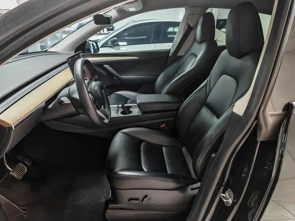 Tesla Model Y — фото 10
