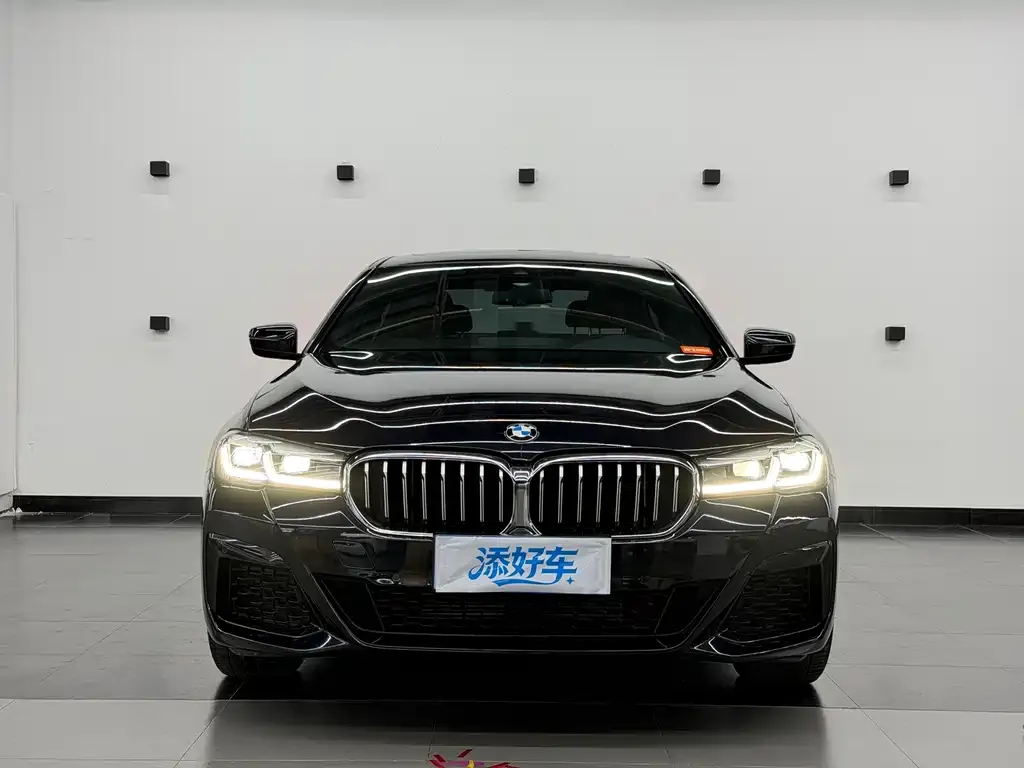 BMW 5 Series — фото 4
