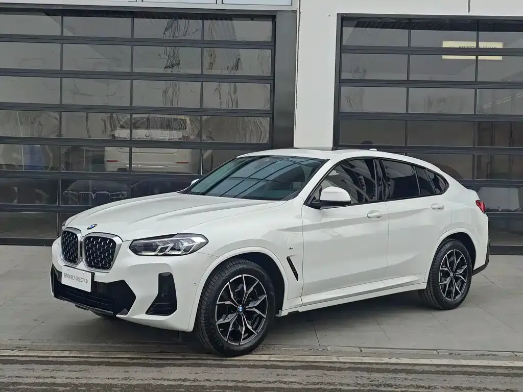 BMW X4 — фото 1