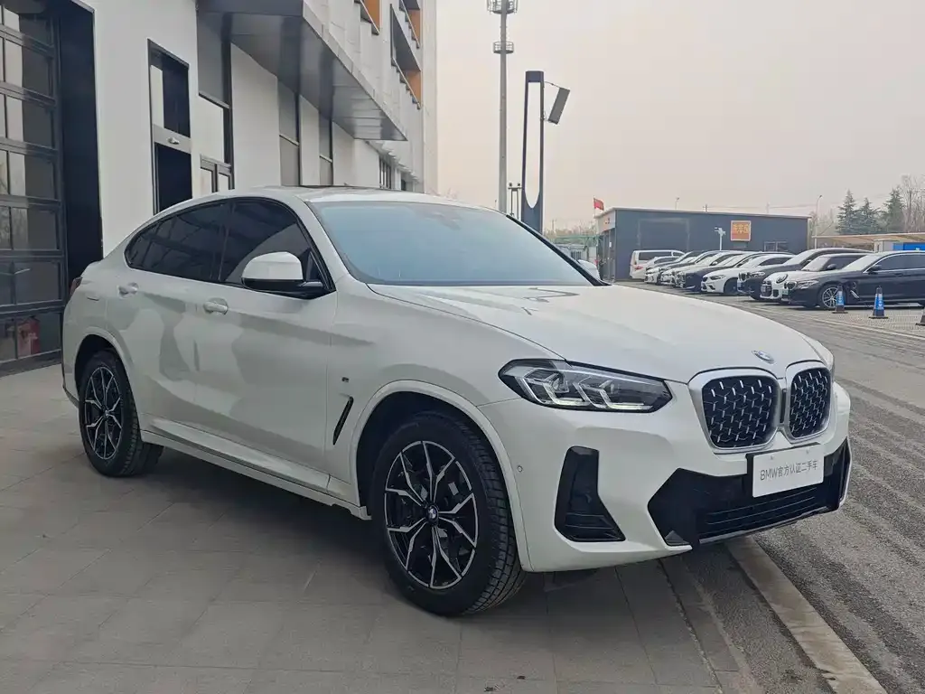 BMW X4 — фото 6