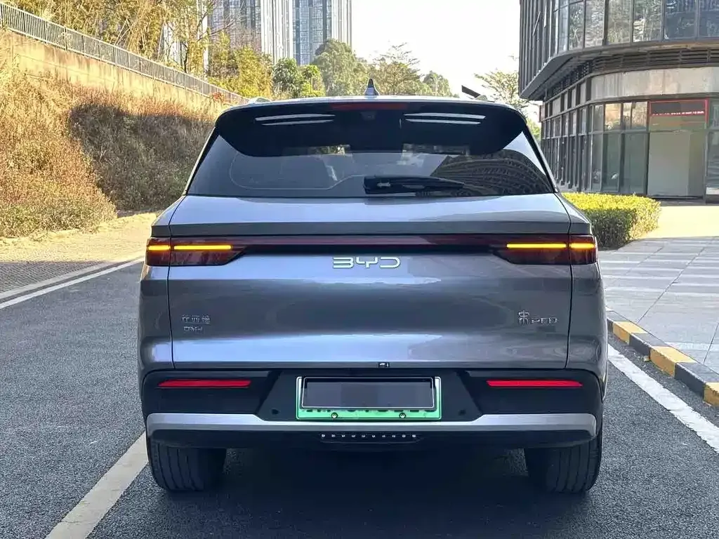 BYD Pro New Energy — фото 3
