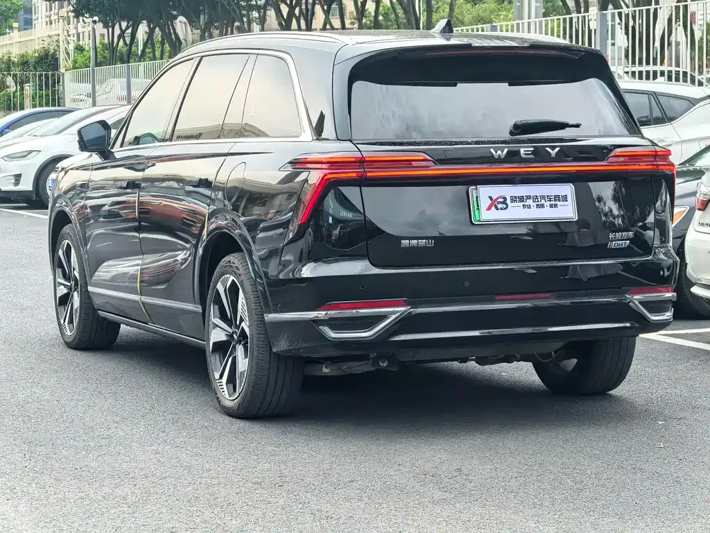 Wey Lanshan 2023 из CN, фото 7
