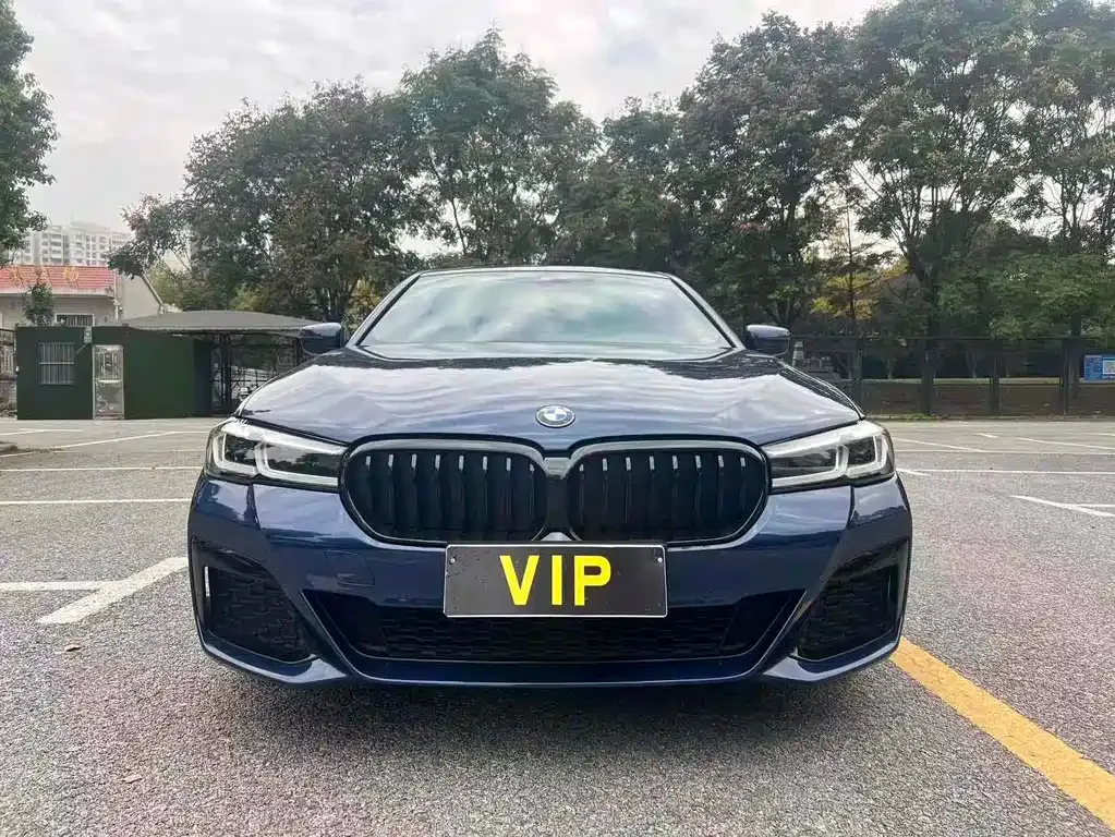 BMW 5 Series (Import) — фото 1