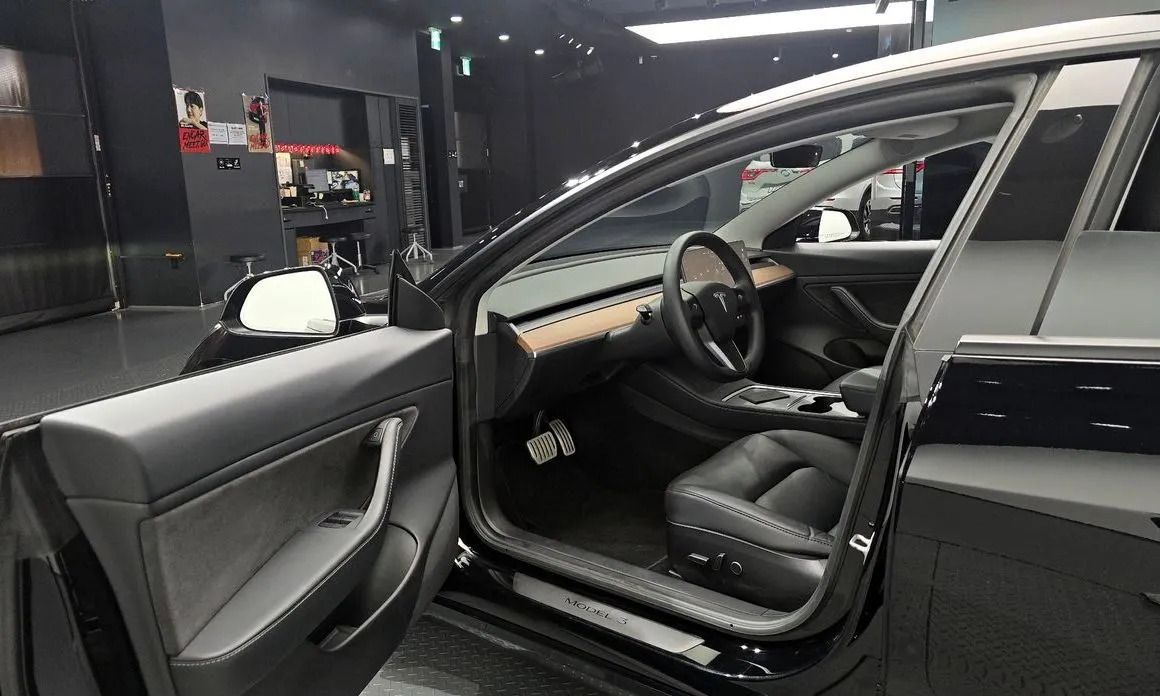 Tesla Model 3 2021 из KR, фото 8