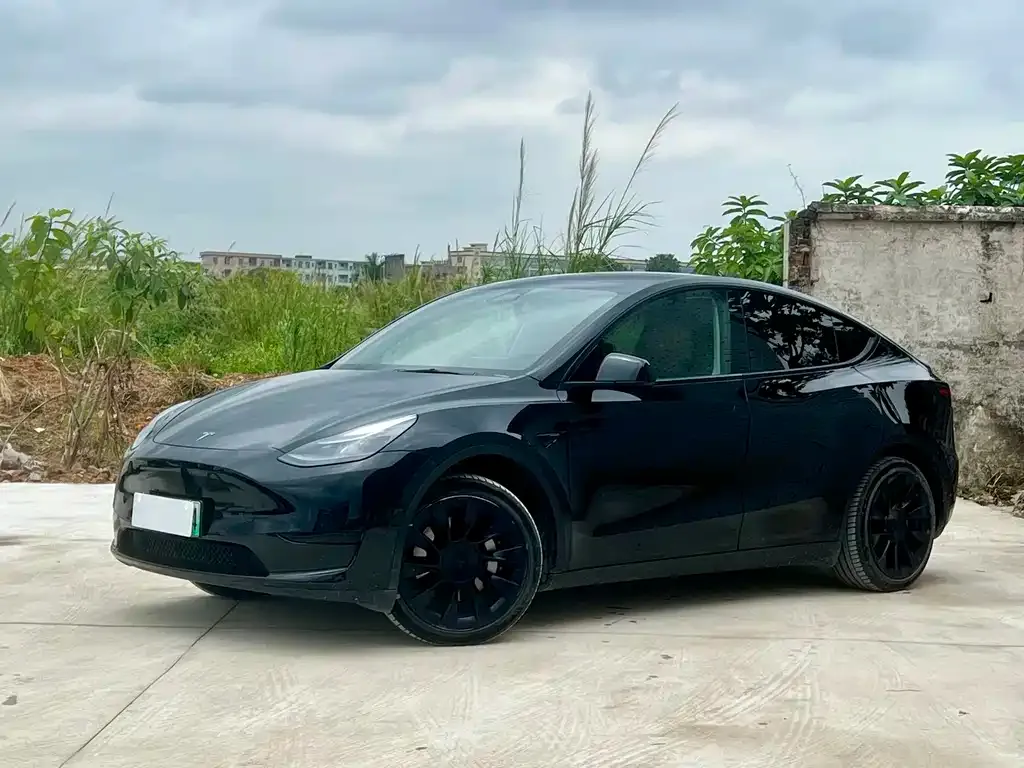 Tesla Model Y — фото 1