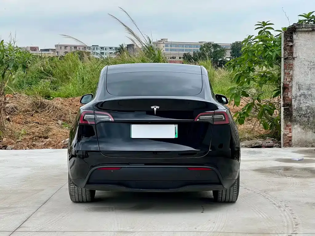 Tesla Model Y — фото 5