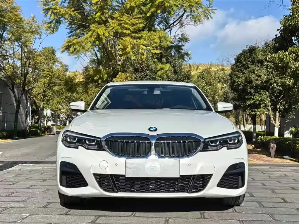 BMW 3 Series 2021 из CN, фото 5
