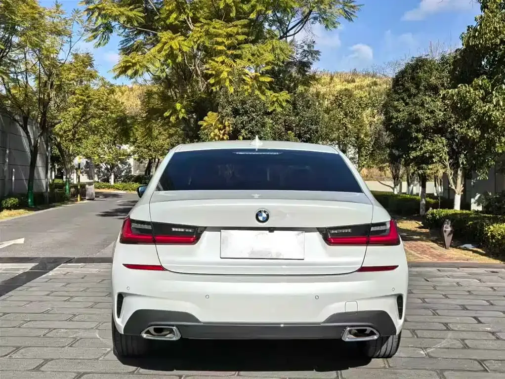 BMW 3 Series 2021 из CN, фото 9