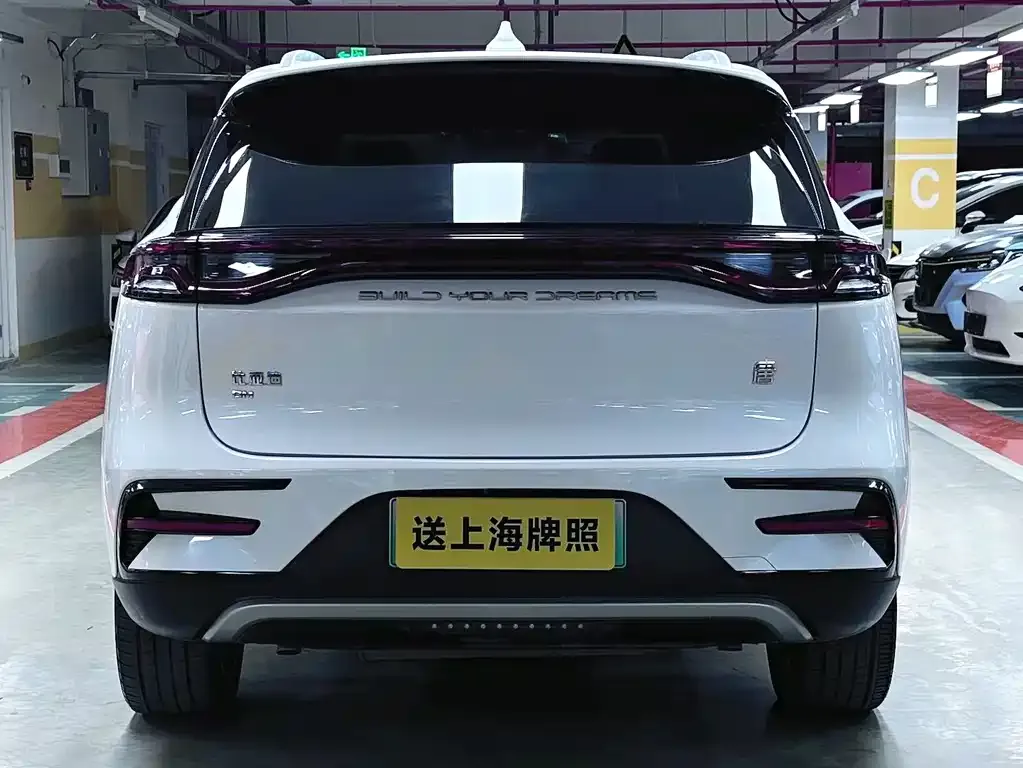 BYD Tang New Energy — фото 3