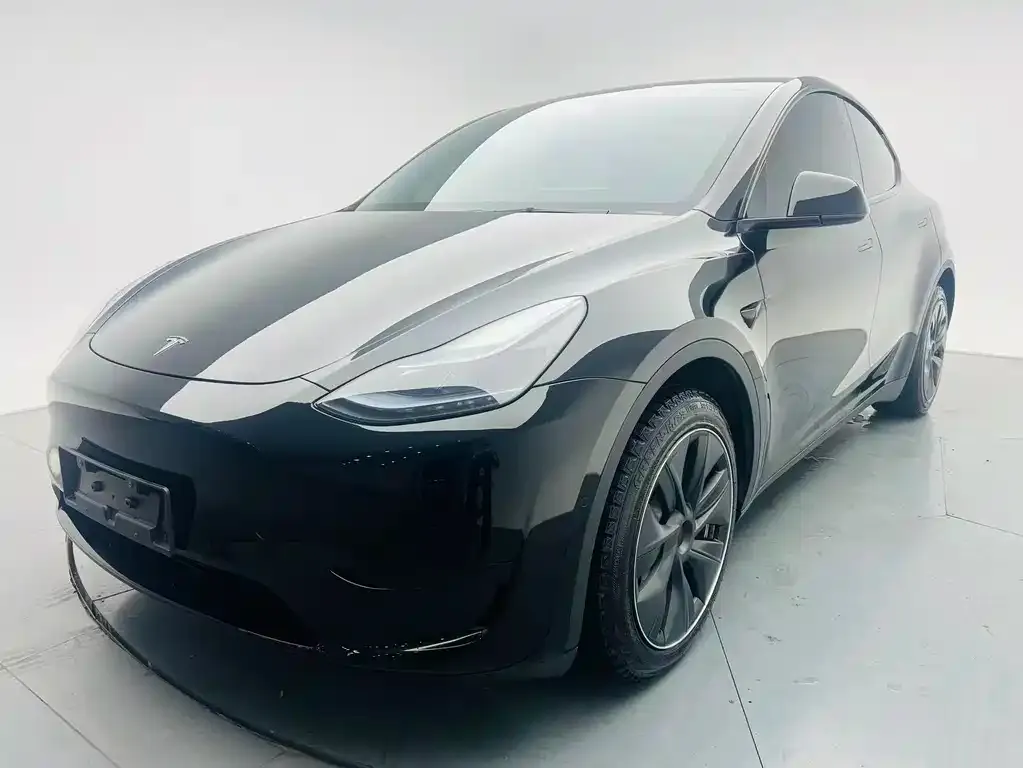 Tesla Model Y — фото 5