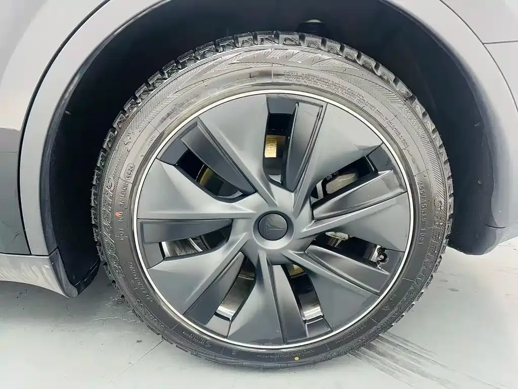 Tesla Model Y — фото 9