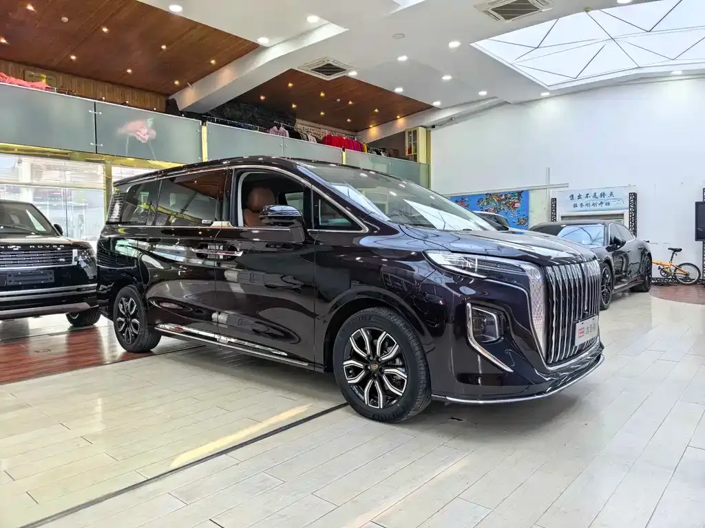 Hongqi HQ9 — фото 5