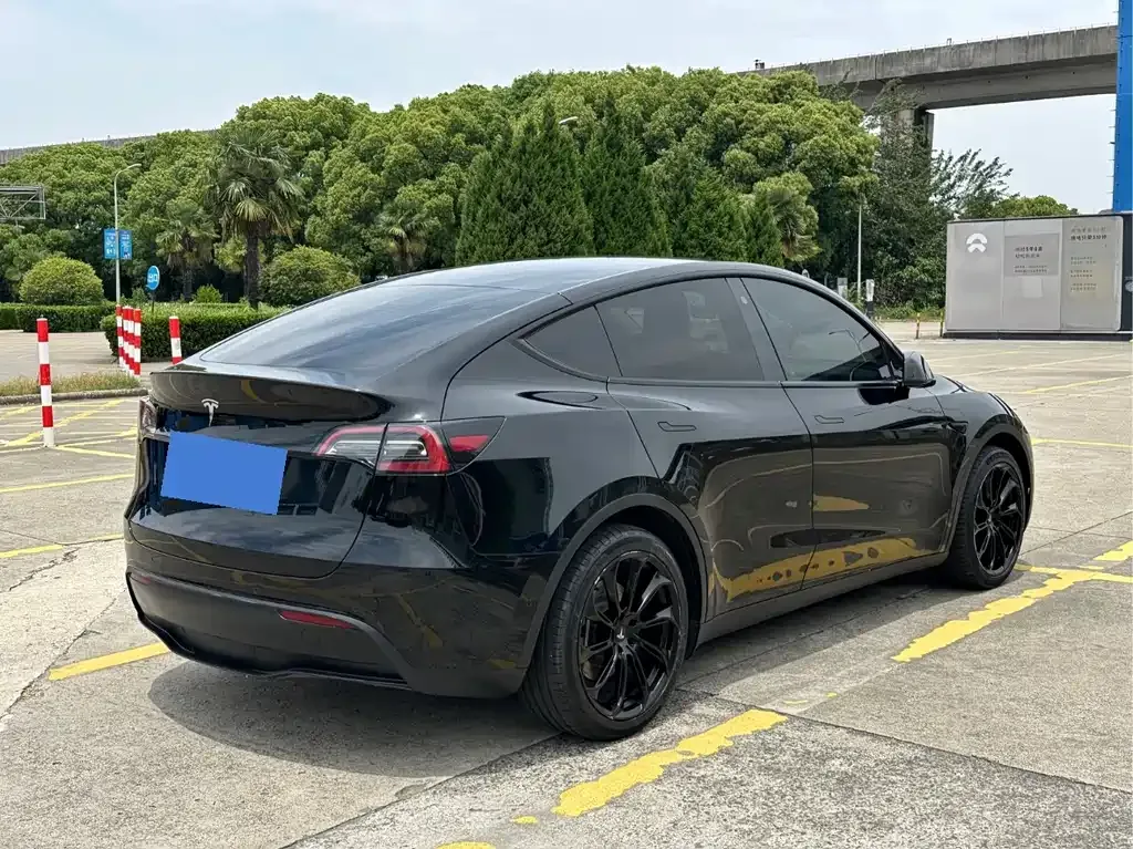 Tesla Model Y — фото 8