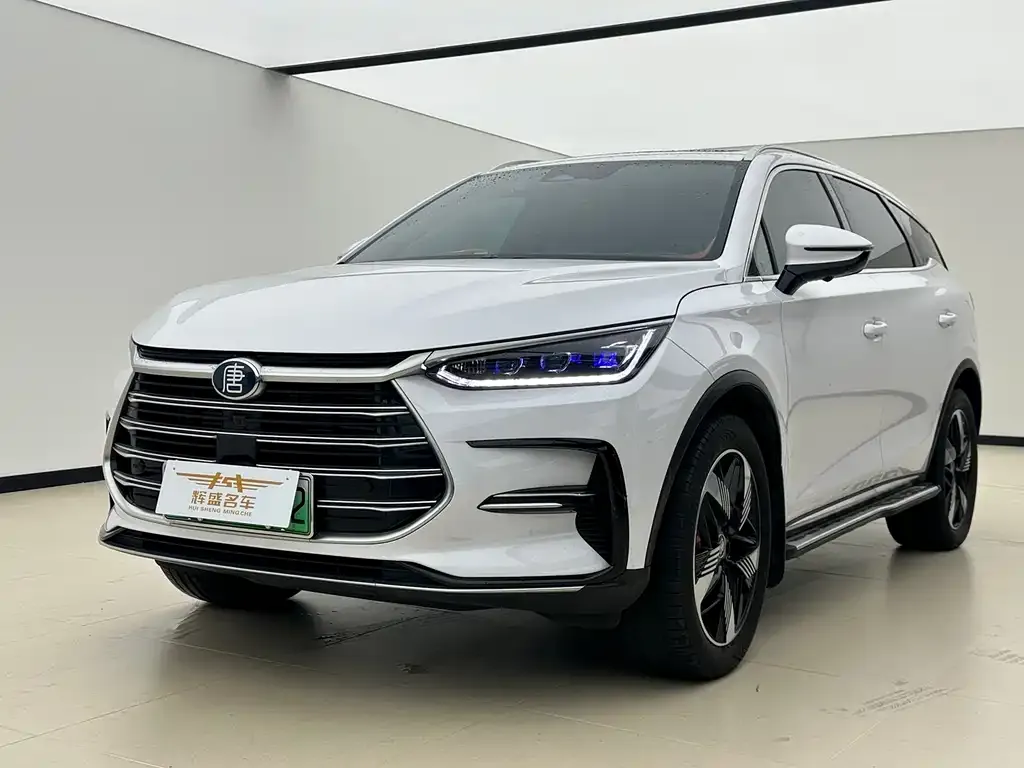 BYD Tang New Energy — фото 1