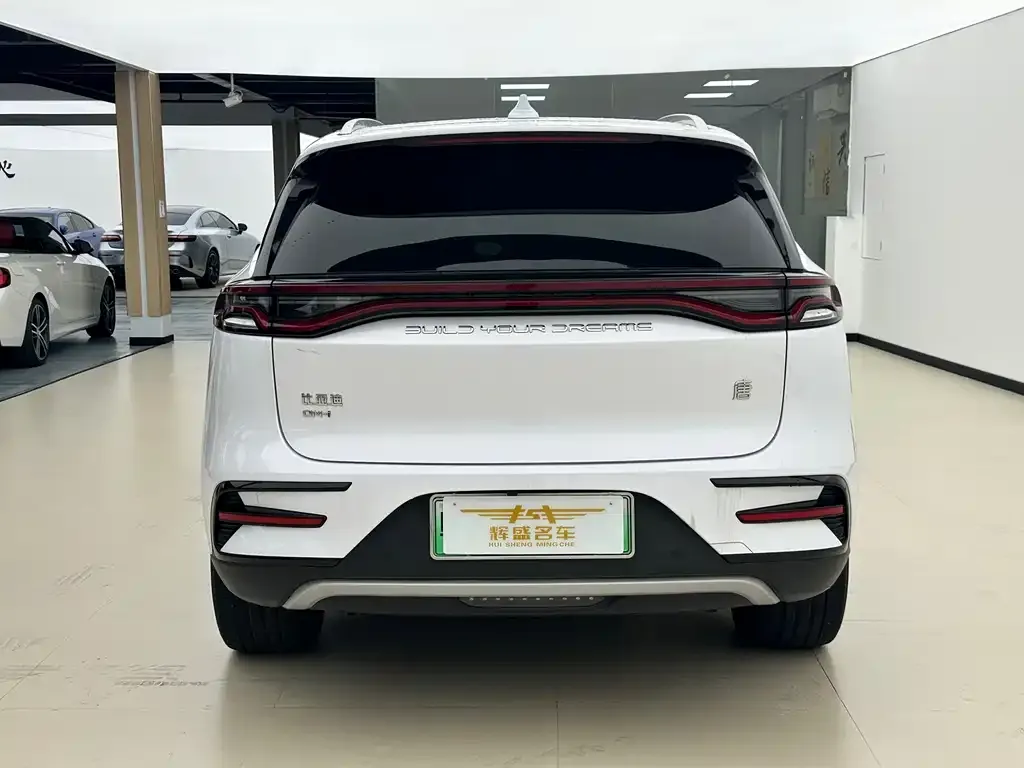 BYD Tang New Energy — фото 5