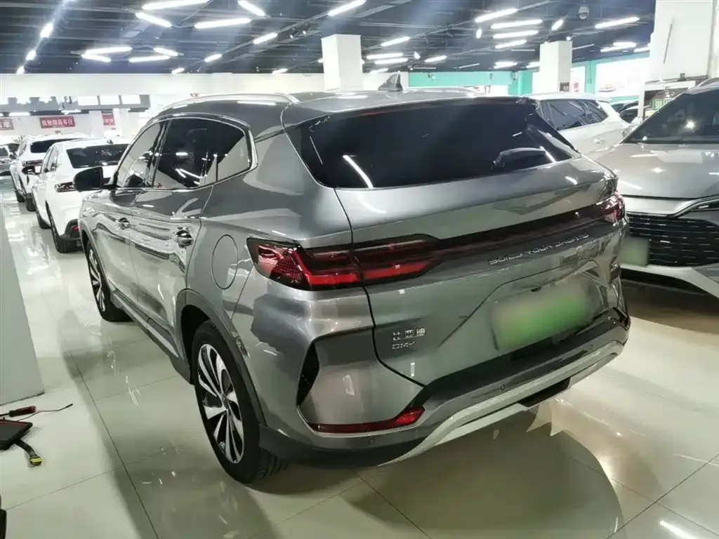 BYD PLUS New Energy — фото 9