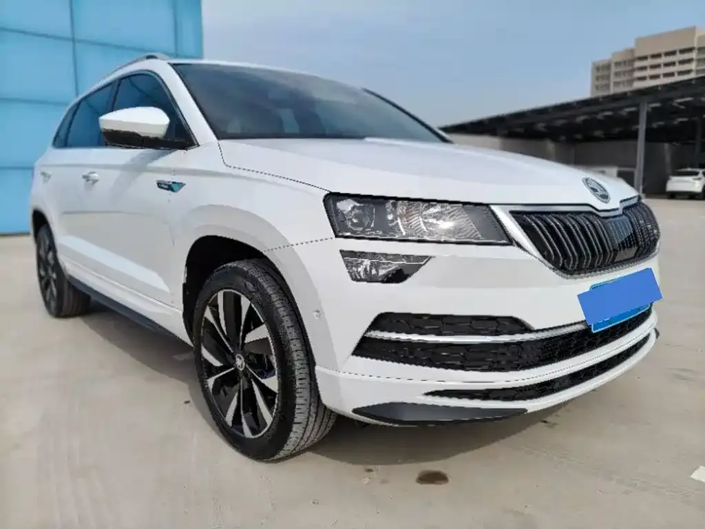 Skoda Karoq — фото 4