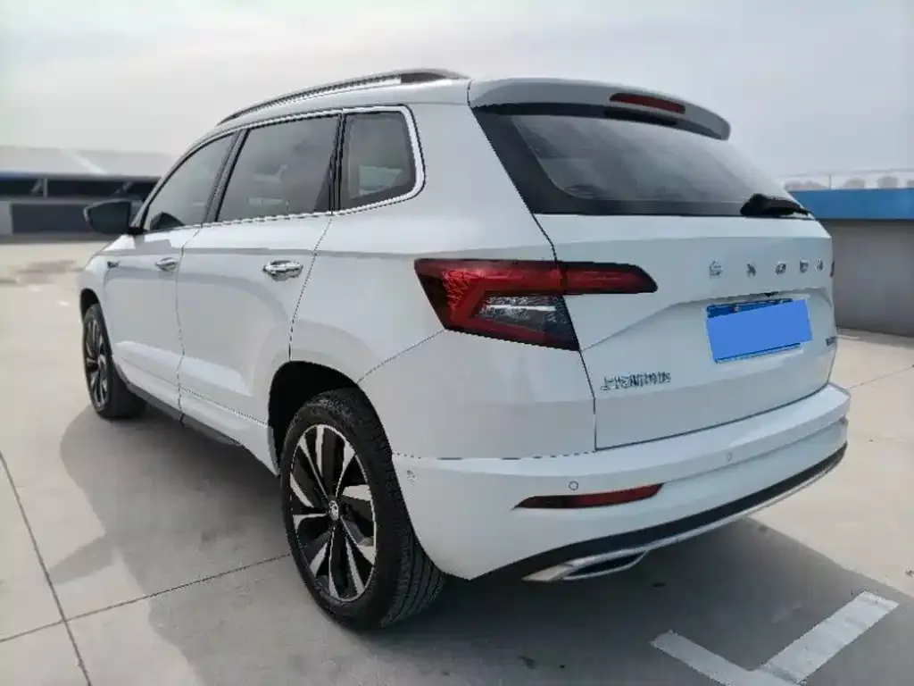 Skoda Karoq — фото 6