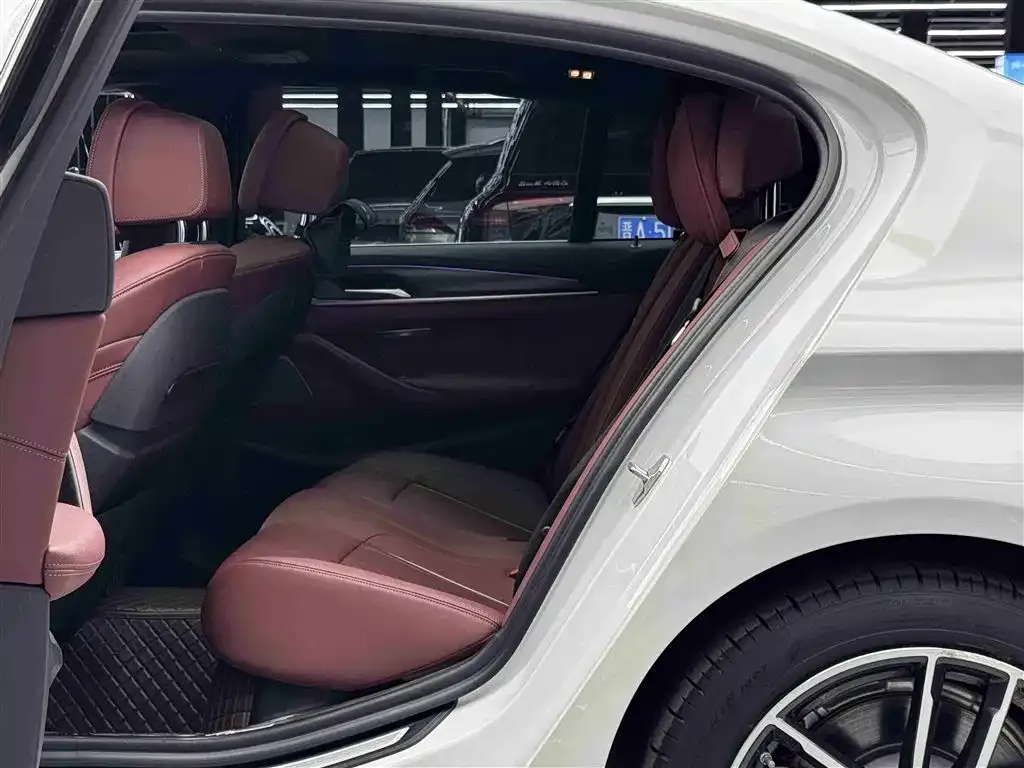 BMW 5 Series New Energy 2021 из CN, фото 4