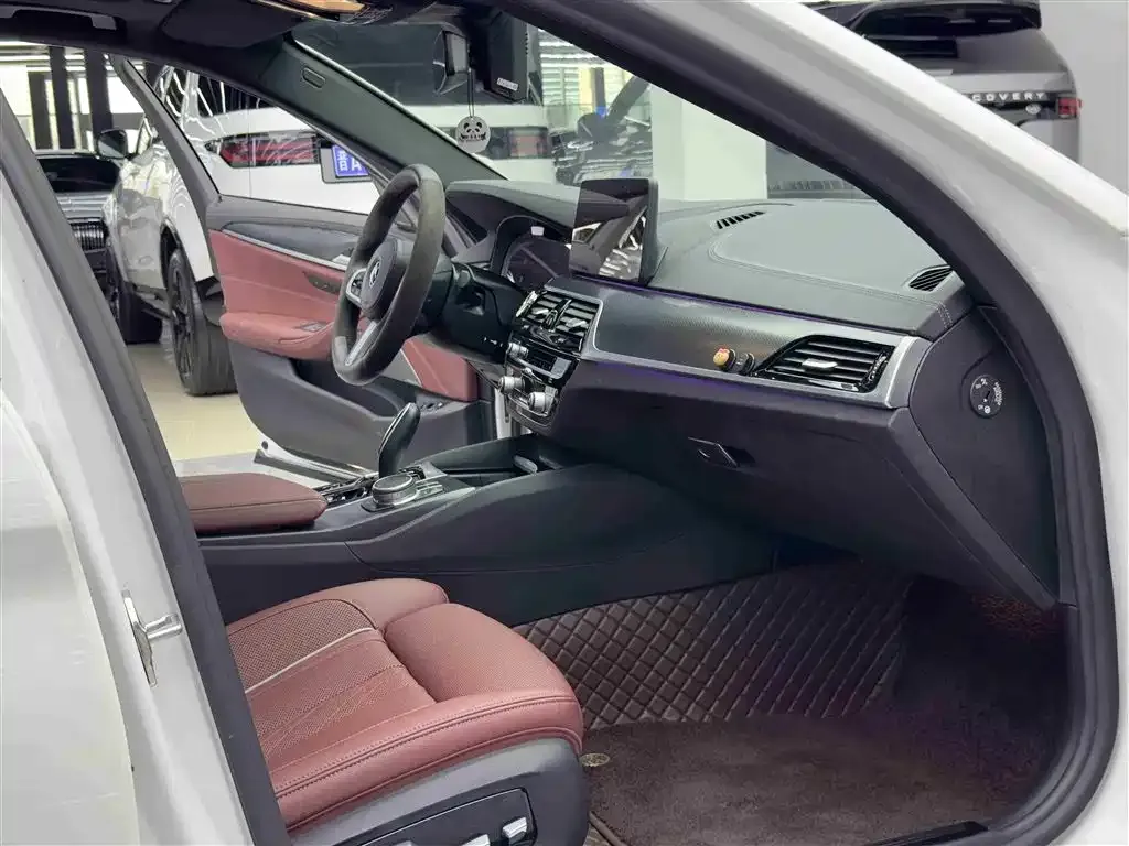 BMW 5 Series New Energy 2021 из CN, фото 9