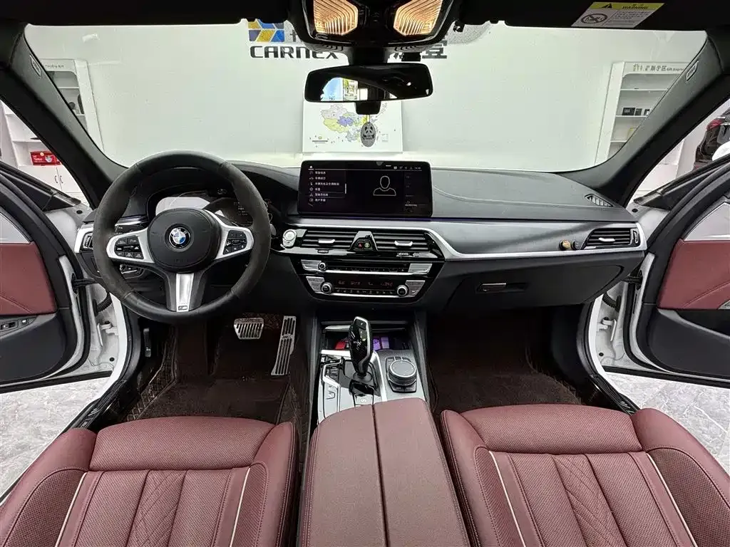 BMW 5 Series New Energy 2021 из CN, фото 8