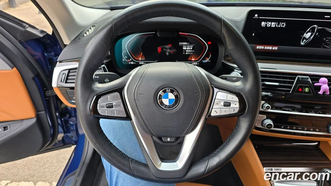 BMW 5-Series 2021 из KR, фото 8