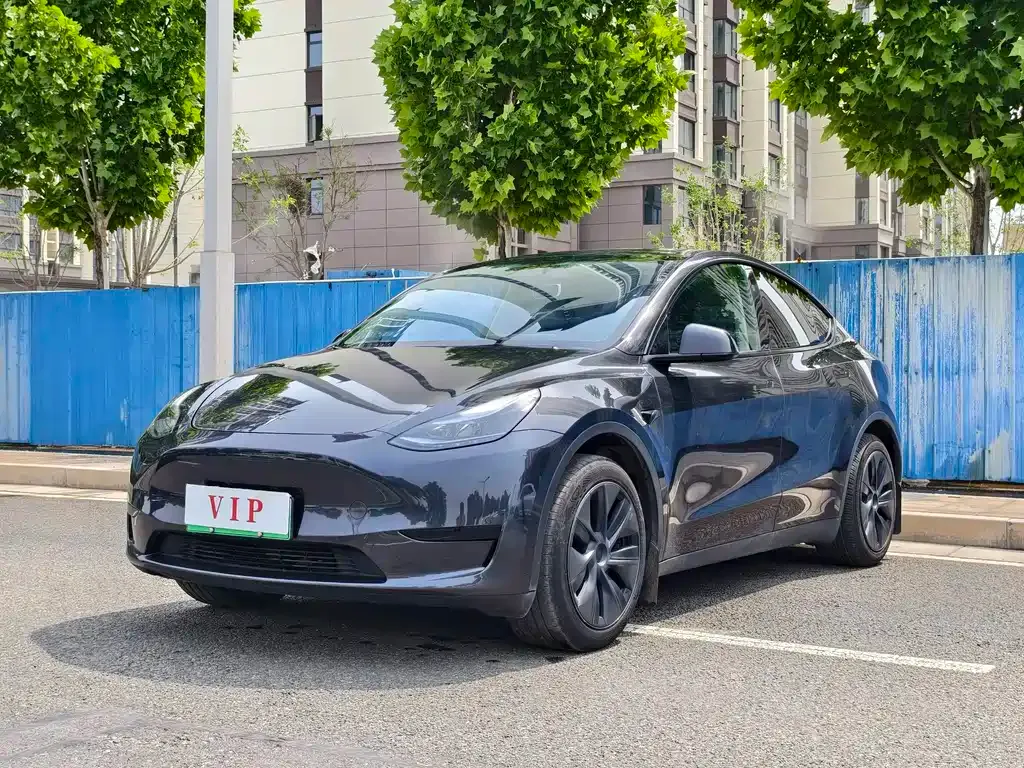 Tesla Model Y — фото 1