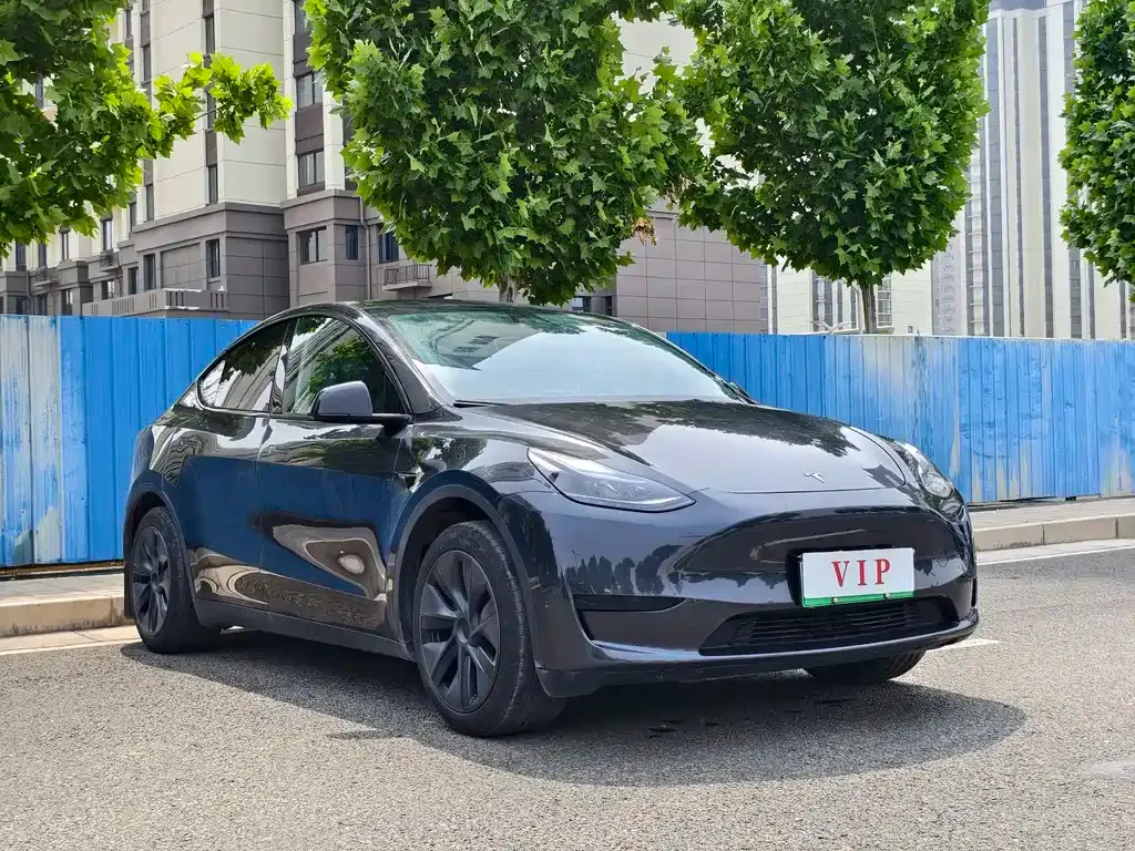 Tesla Model Y — фото 7