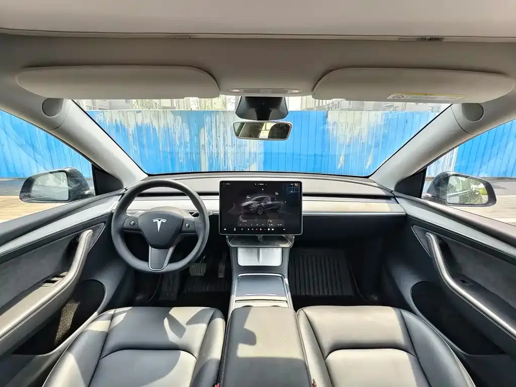 Tesla Model Y — фото 3