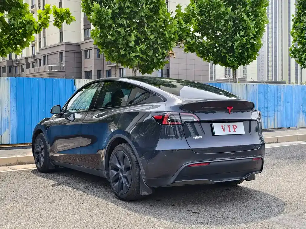 Tesla Model Y — фото 8
